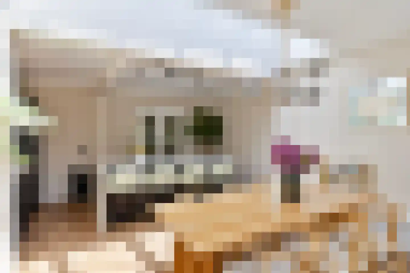 Strobloemstraat 24 Eindhoven thumbnail 15