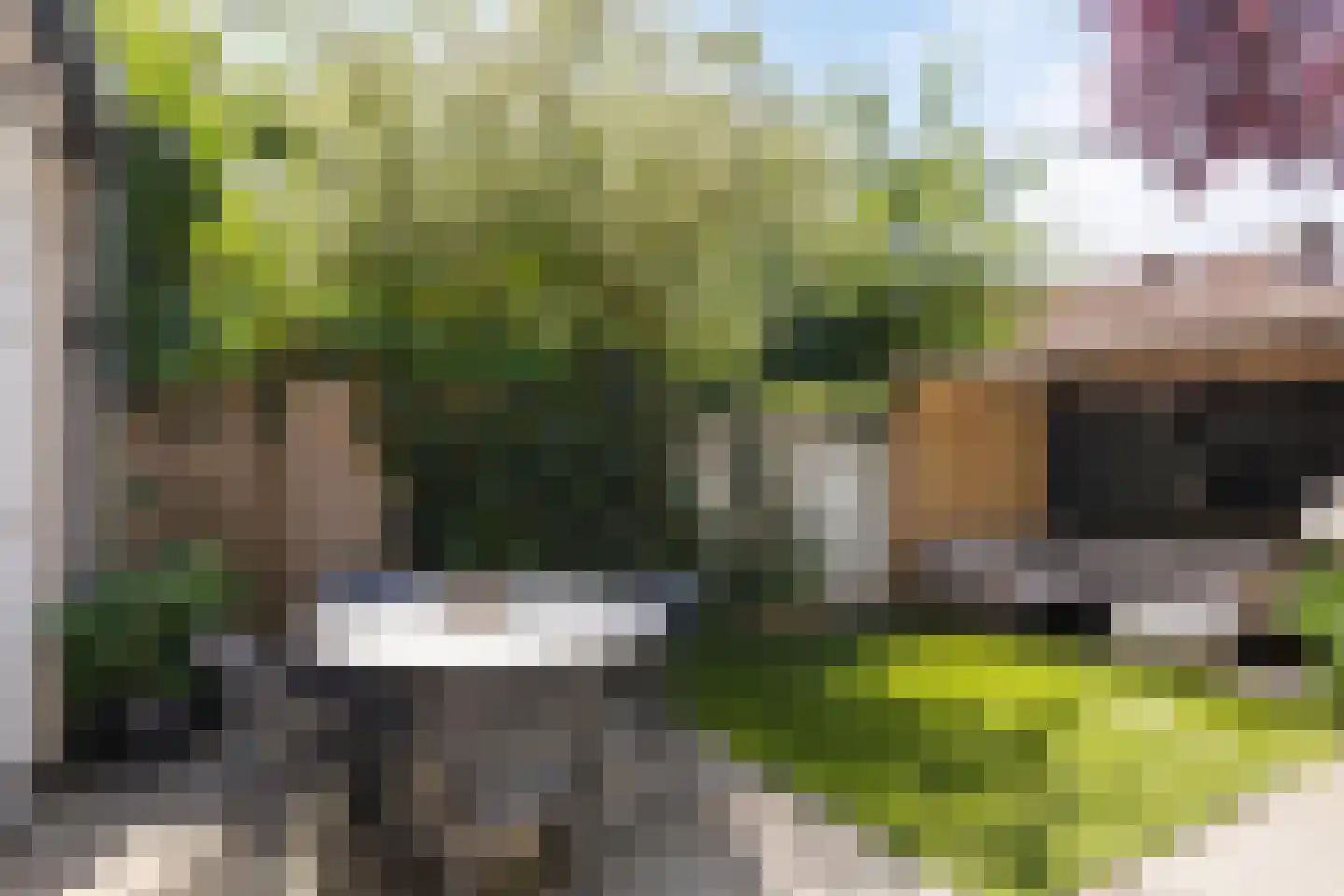 Strobloemstraat 24 Eindhoven thumbnail 25