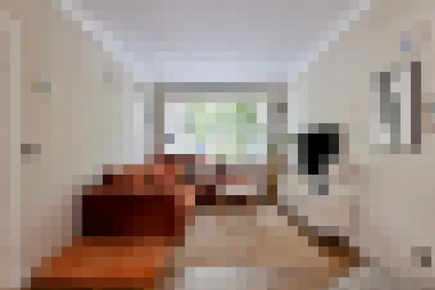 Strobloemstraat 24 Eindhoven thumbnail 7