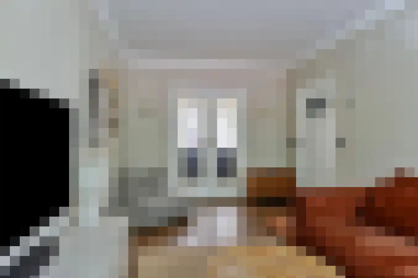 Strobloemstraat 24 Eindhoven thumbnail 8
