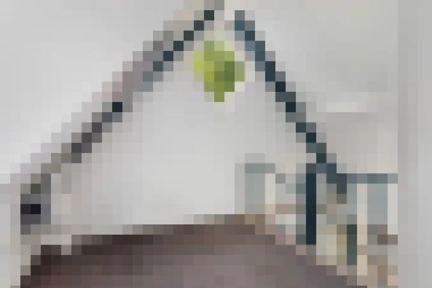 Strobossersteeg 1 B Dokkum thumbnail 11