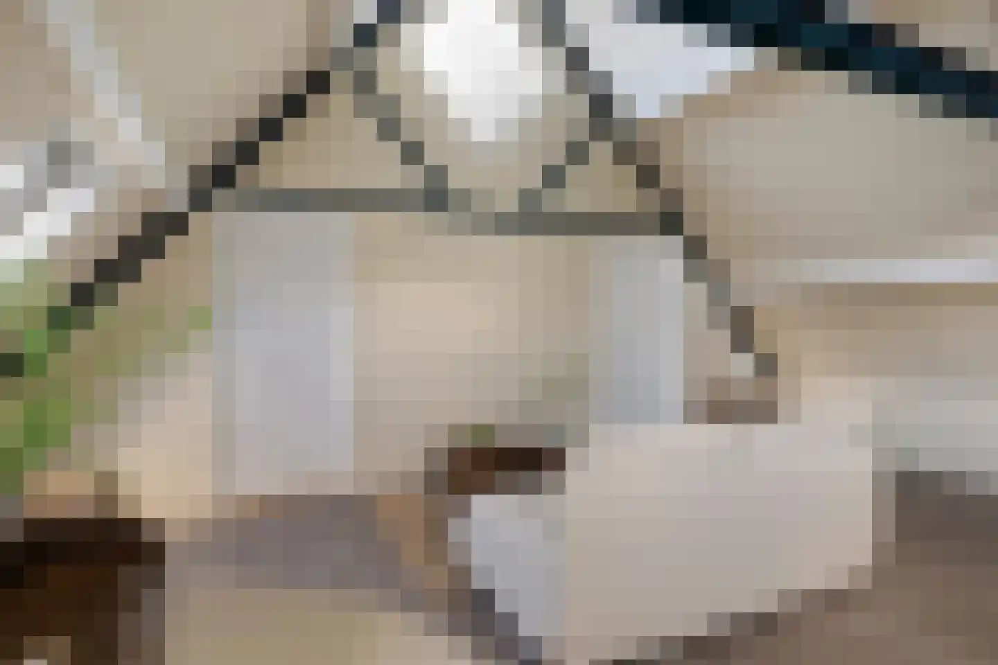 Strobossersteeg 1 B Dokkum thumbnail 14