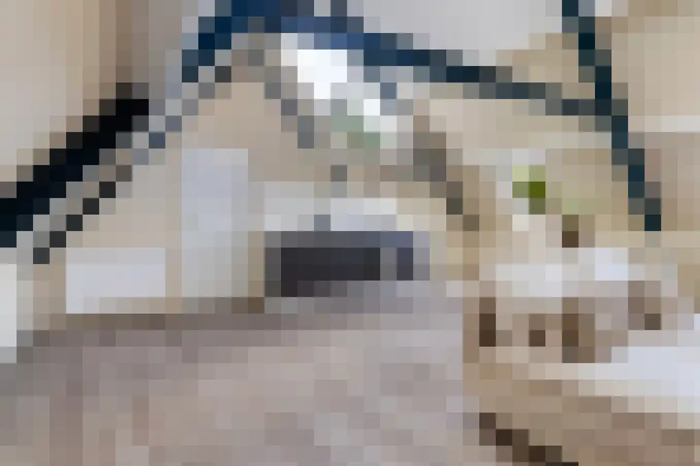 Strobossersteeg 1 B Dokkum thumbnail 18