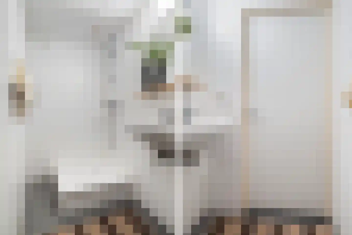 Strobossersteeg 1 B Dokkum thumbnail 24