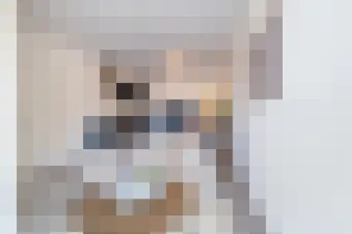 Strobossersteeg 1 D Dokkum thumbnail 8