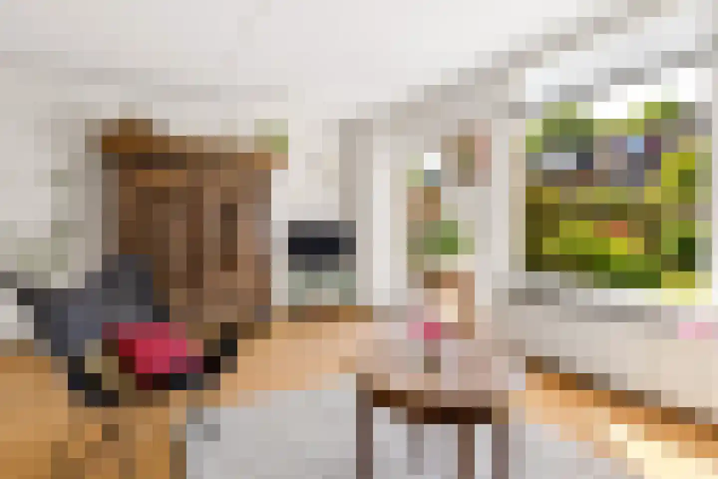 Strocamp 16 Houten thumbnail 15