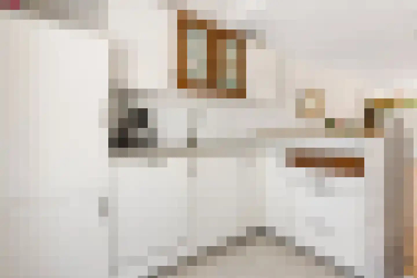 Strocamp 16 Houten thumbnail 19