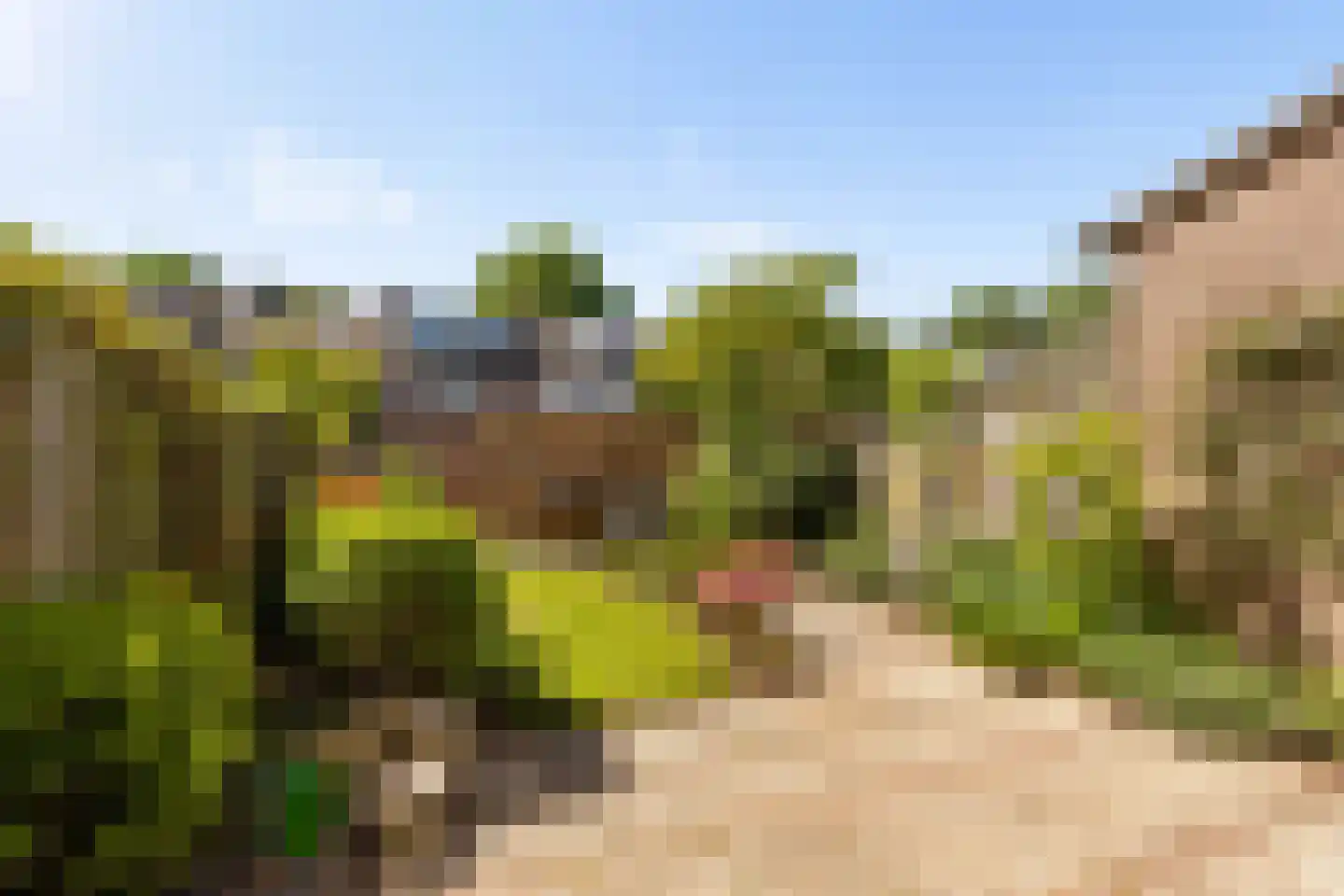 Strocamp 16 Houten thumbnail 39