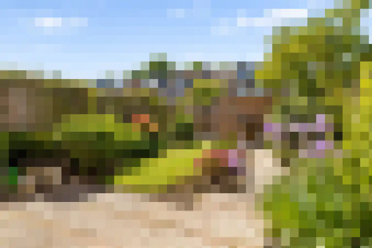 Strocamp 16 Houten thumbnail 40