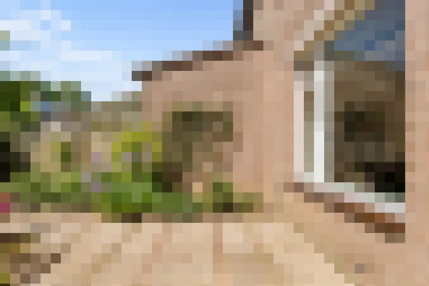 Strocamp 16 Houten thumbnail 42