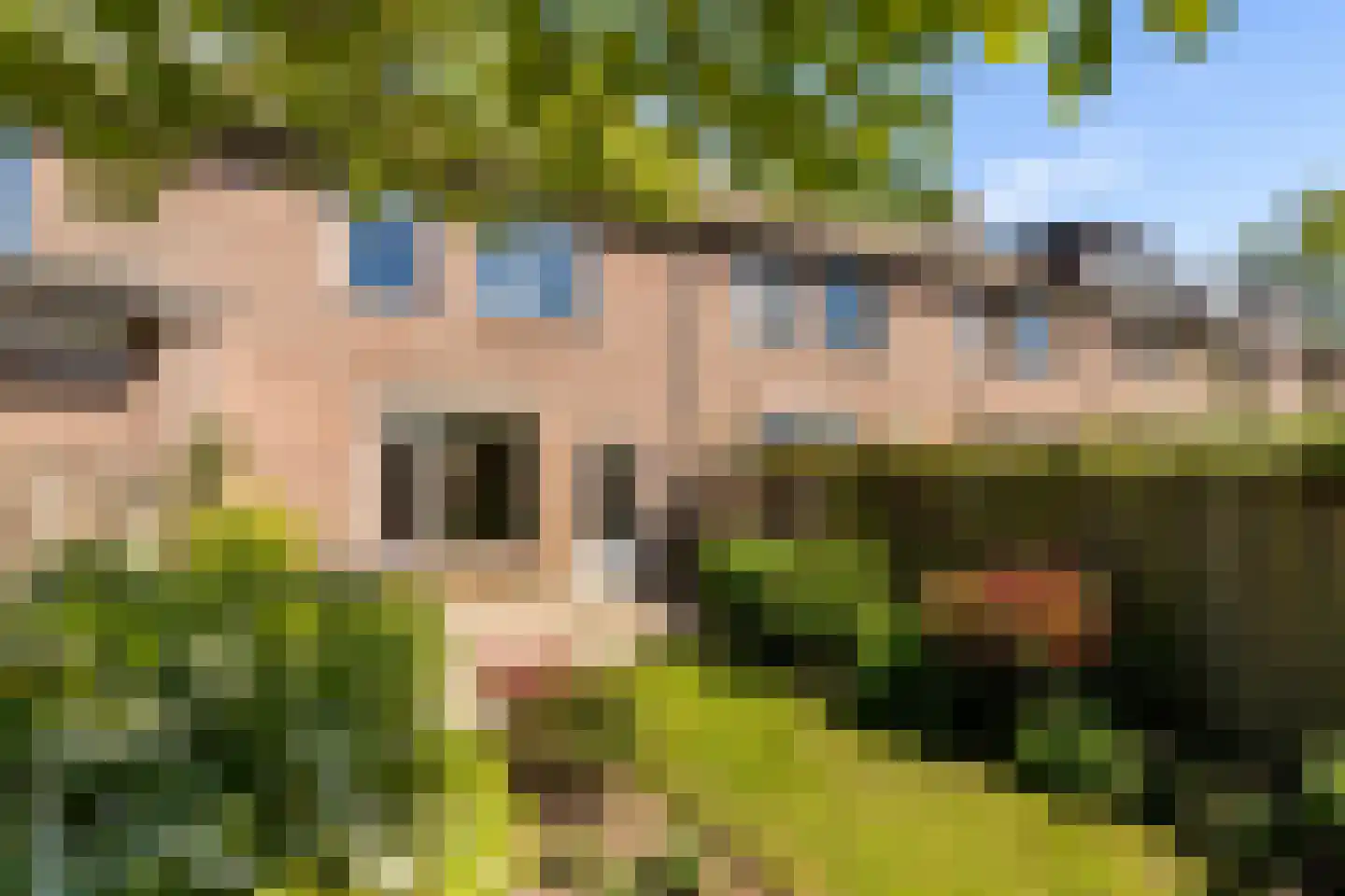 Strocamp 16 Houten thumbnail 45