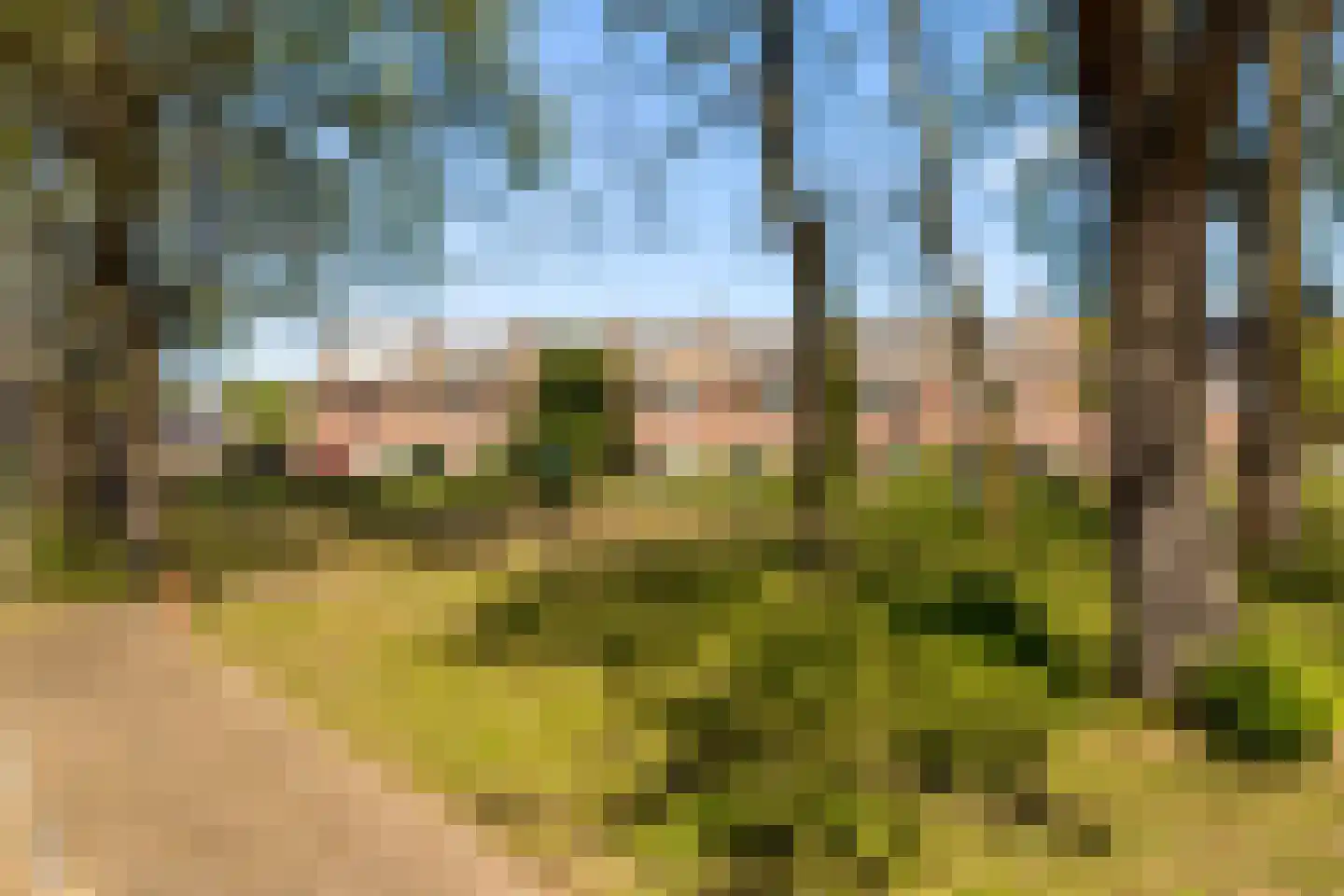Strocamp 16 Houten thumbnail 51