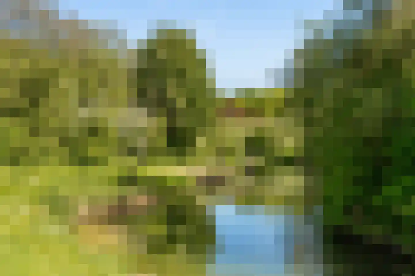 Strocamp 16 Houten thumbnail 52