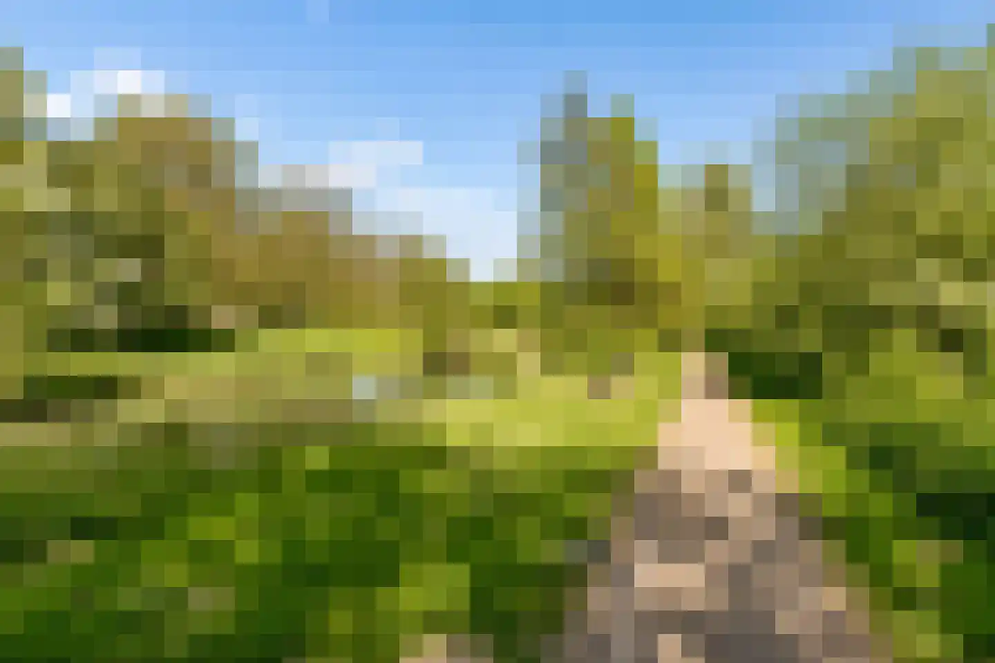 Strocamp 16 Houten thumbnail 54