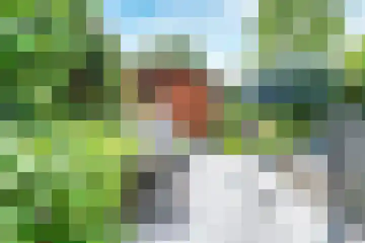 Strocamp 63 Houten thumbnail 12