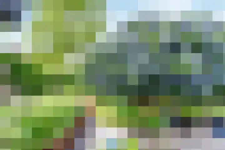Strocamp 63 Houten thumbnail 14