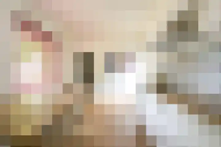 Strocamp 63 Houten thumbnail 23