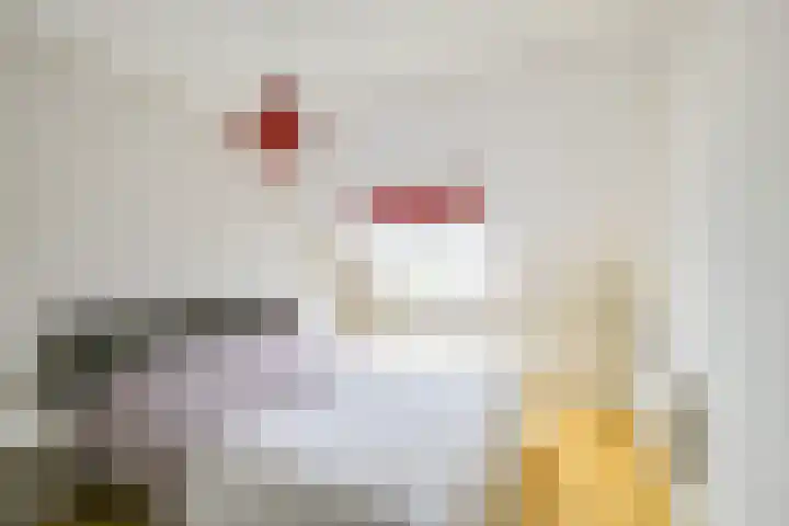Strocamp 63 Houten thumbnail 25