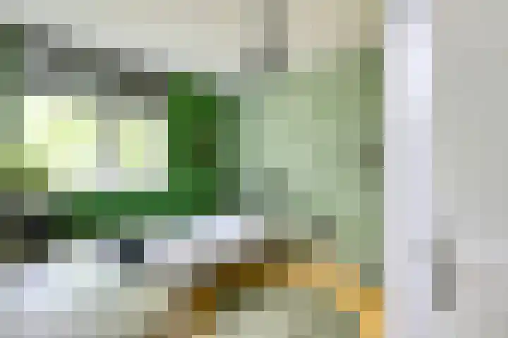 Strocamp 63 Houten thumbnail 26