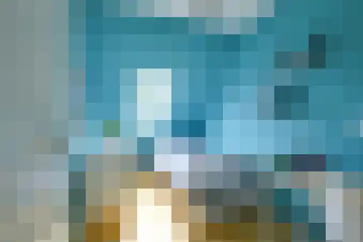 Strocamp 63 Houten thumbnail 30