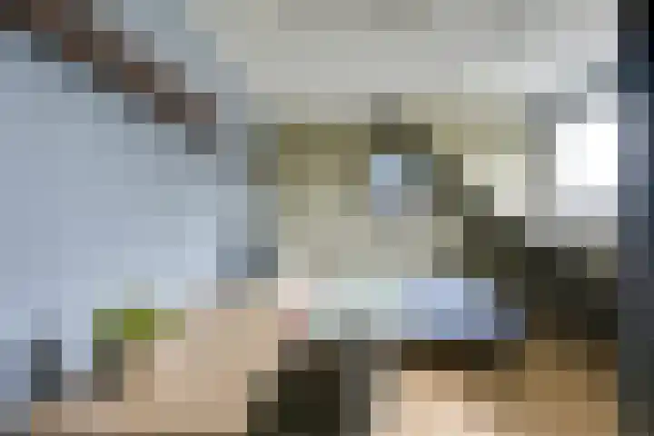 Strocamp 63 Houten thumbnail 34