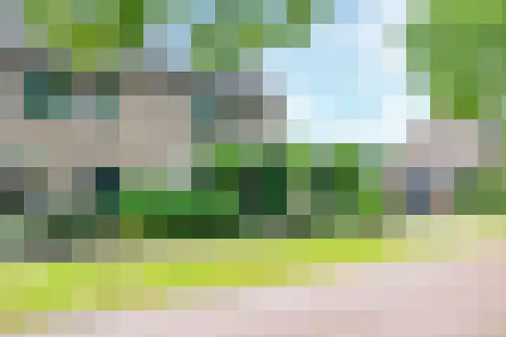 Strocamp 63 Houten thumbnail 35