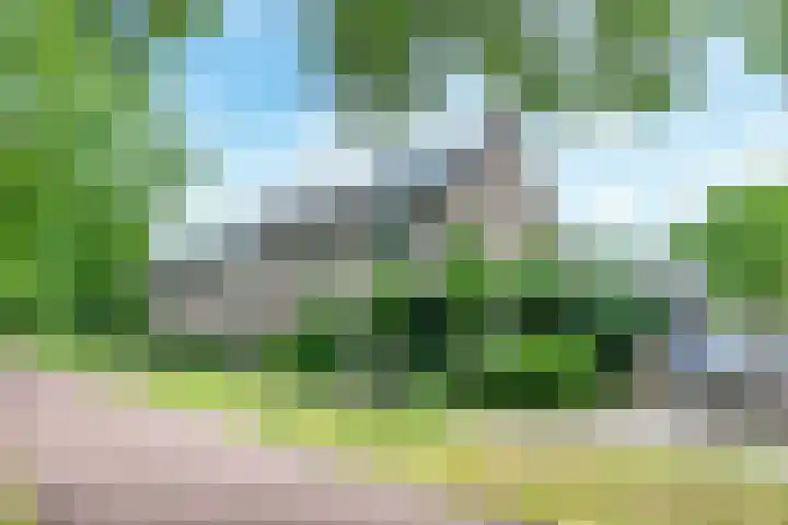 Strocamp 63 Houten thumbnail 5