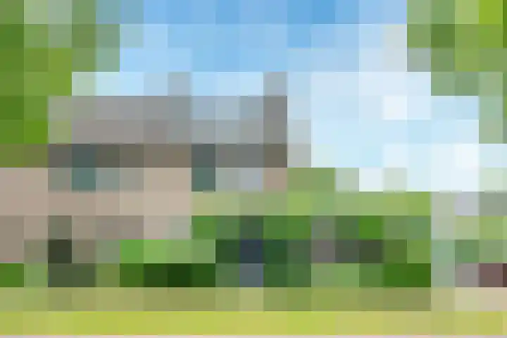 Strocamp 63 Houten thumbnail 60