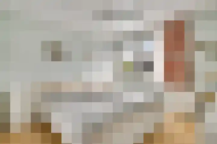 Strodekkersdreef 3 Maastricht thumbnail 11