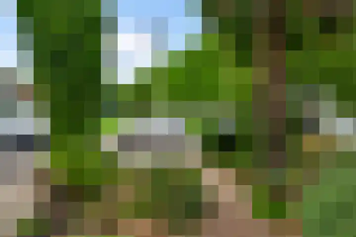 Strodekkersdreef 3 Maastricht thumbnail 20