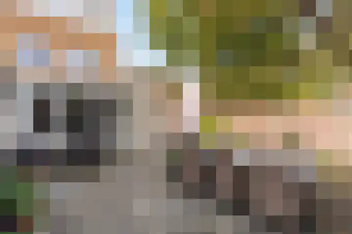 Strodekkerstraat 1 Zwolle thumbnail 16