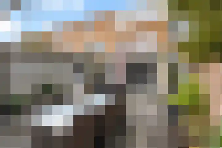 Strodekkerstraat 1 Zwolle thumbnail 17
