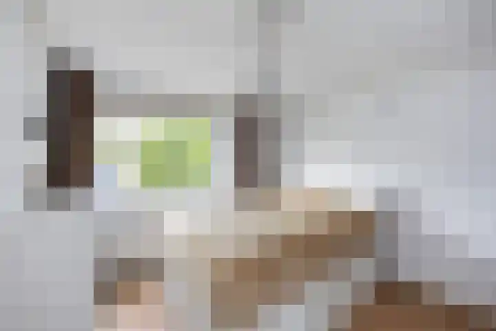 Strodekkerstraat 1 Zwolle thumbnail 24
