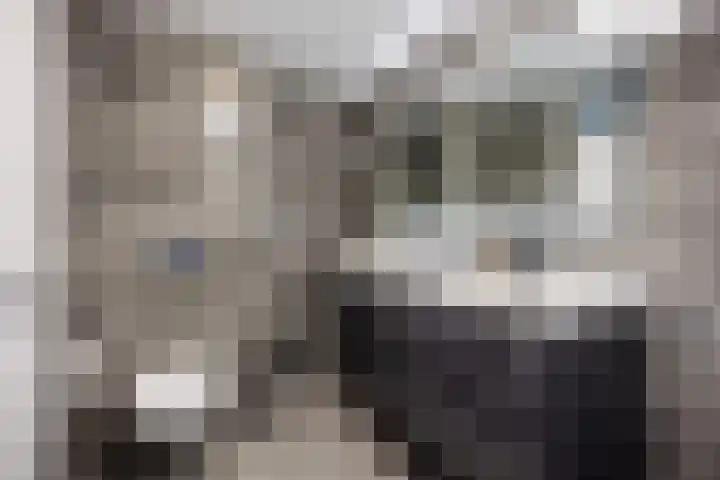 Strodekkerstraat 1 Zwolle thumbnail 38
