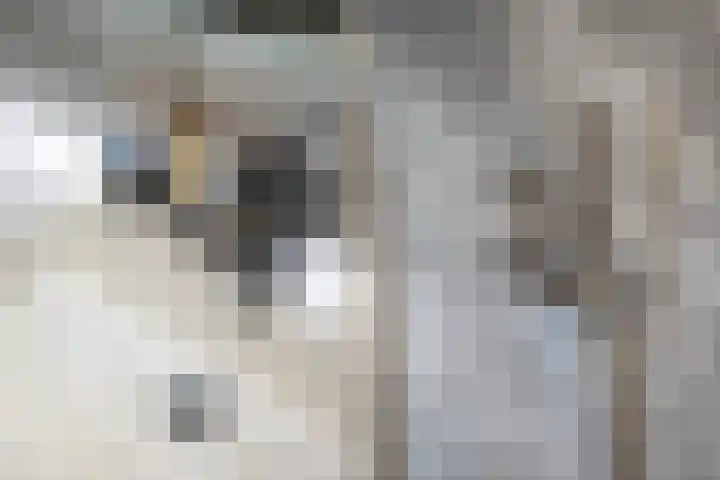 Strodekkerstraat 1 Zwolle thumbnail 39