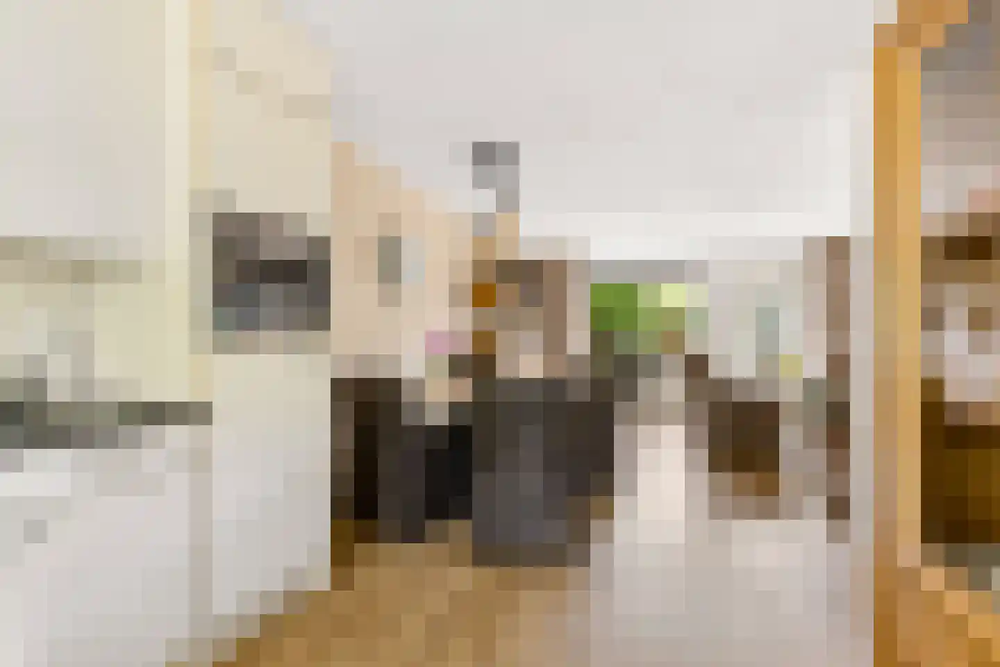 Strodekkerstraat 24 Zwolle thumbnail 15