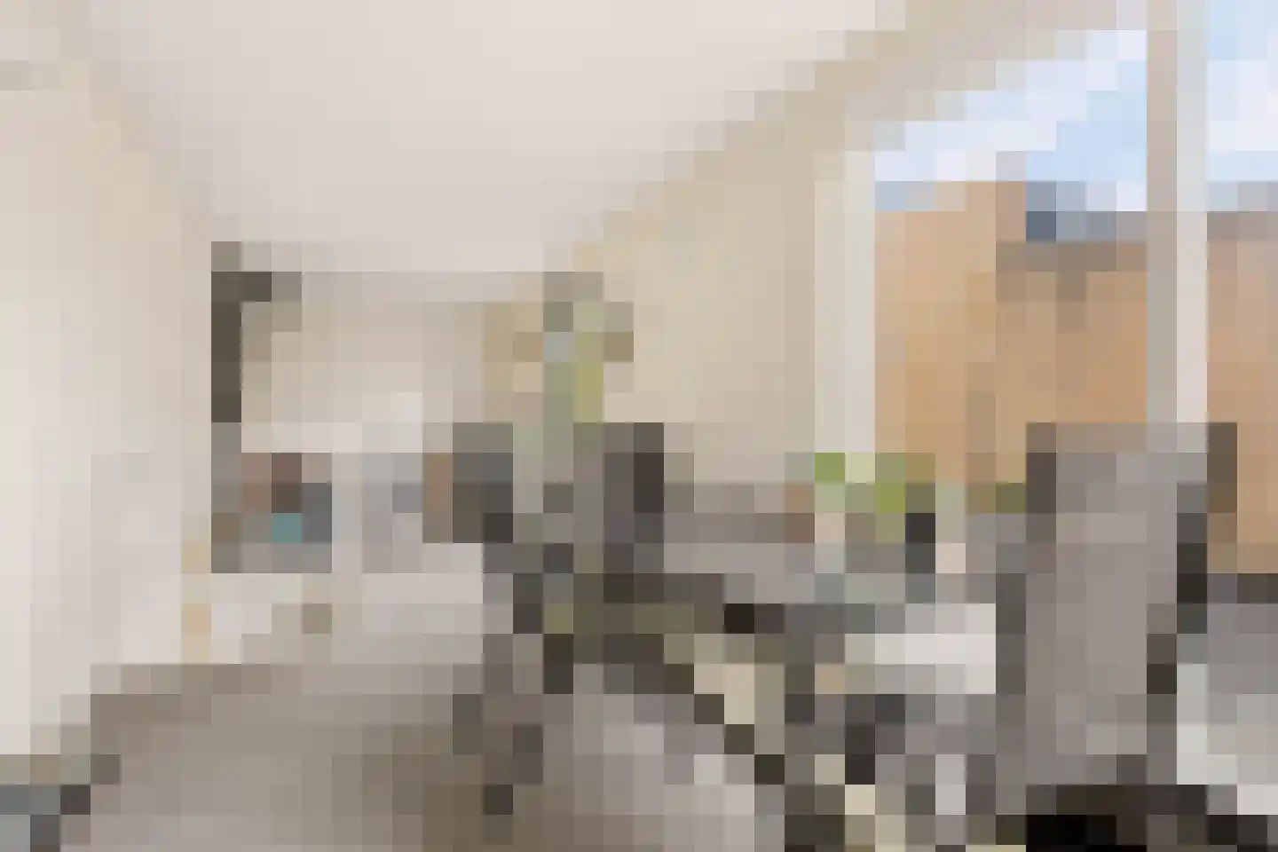 Strodekkerstraat 24 Zwolle thumbnail 25