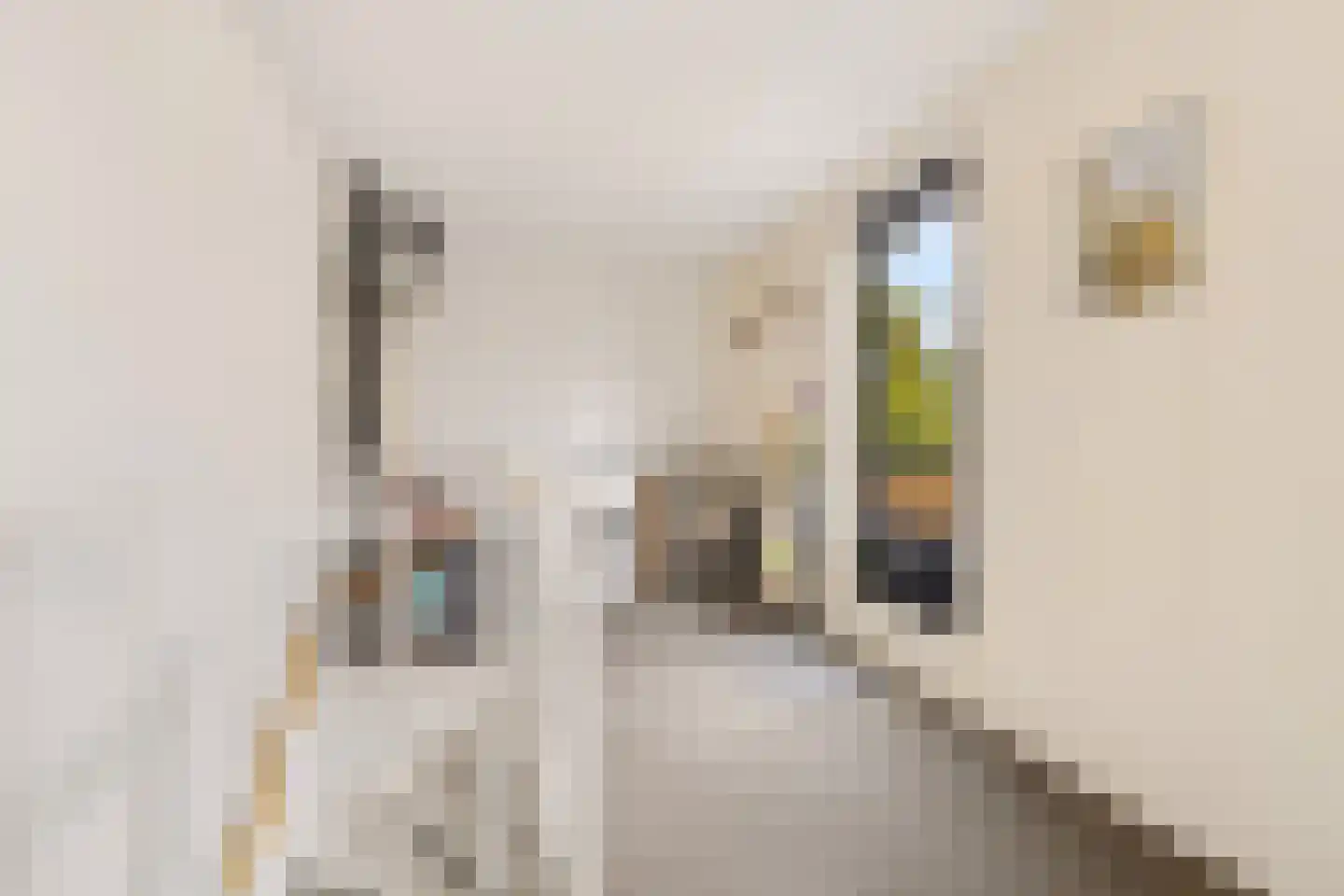Strodekkerstraat 24 Zwolle thumbnail 26
