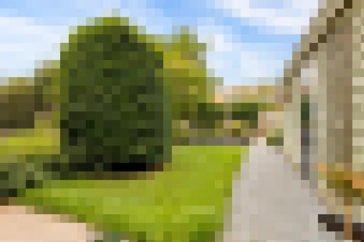 Strodekkerstraat 24 Zwolle thumbnail 35