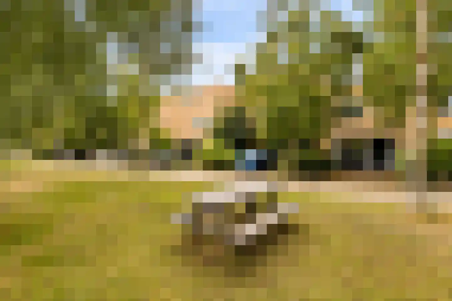 Strodekkerstraat 24 Zwolle thumbnail 46