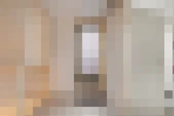 Strodekkerstraat 28 Zwolle thumbnail 33
