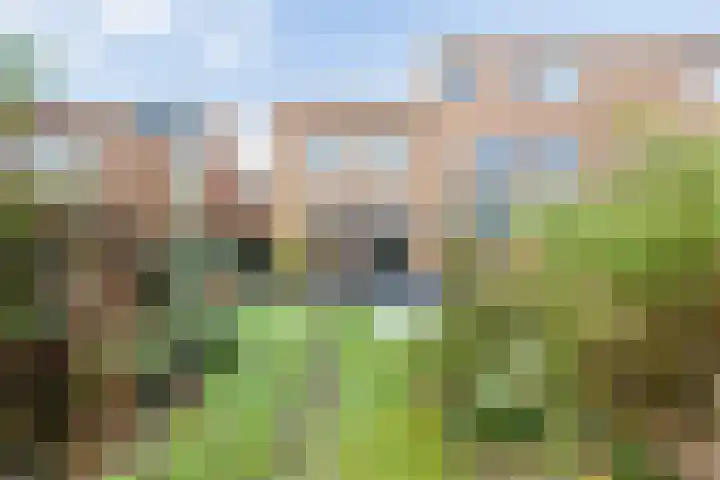 Strodekkerstraat 28 Zwolle thumbnail 41