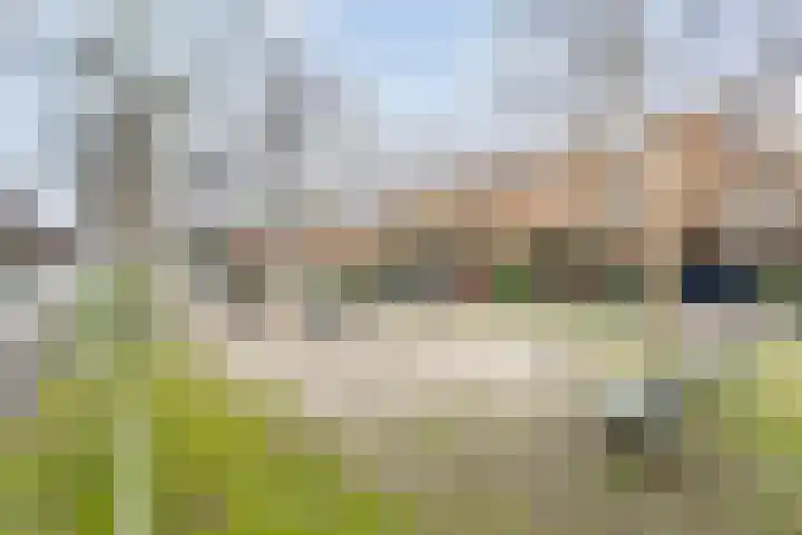 Strodekkerstraat 28 Zwolle thumbnail 5