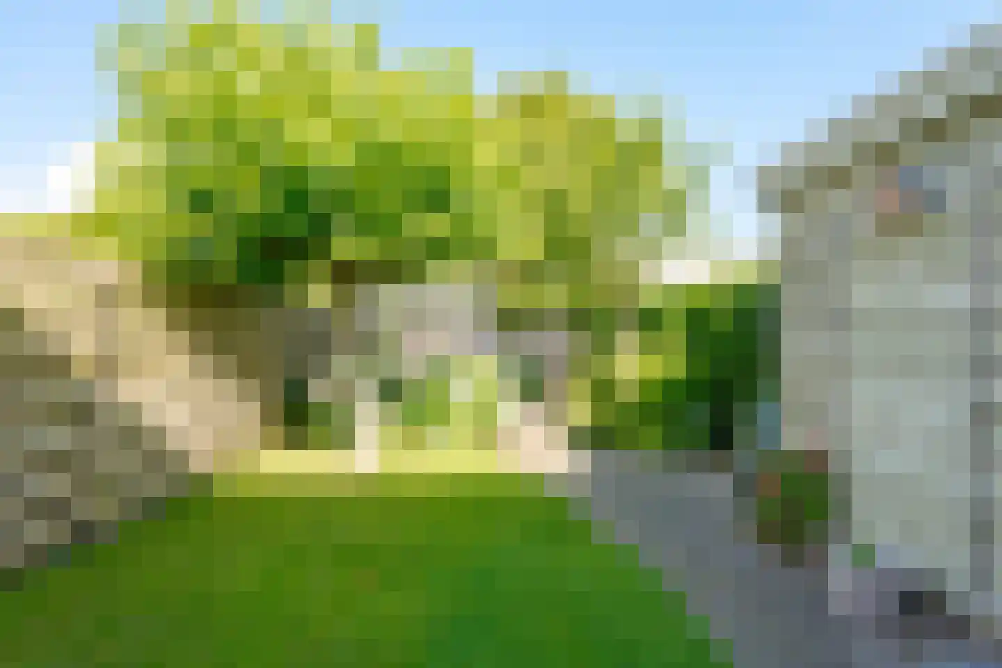 Strodekkerstraat 36 Zwolle thumbnail 29