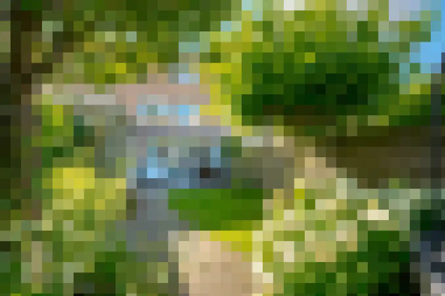 Strodekkerstraat 36 Zwolle thumbnail 31