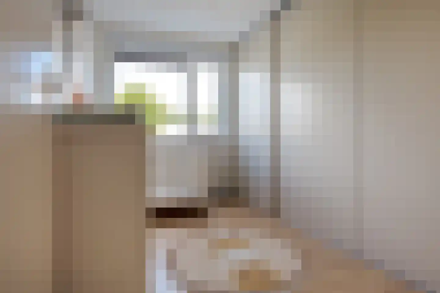 Strodekkerstraat 36 Zwolle thumbnail 37