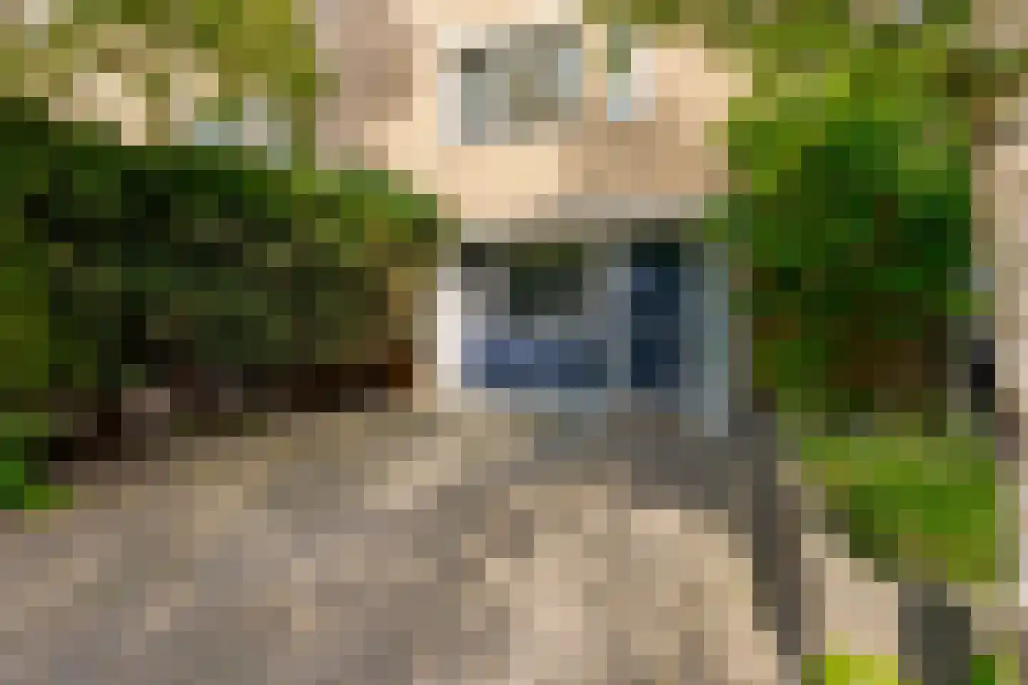 Strodekkerstraat 36 Zwolle thumbnail 6