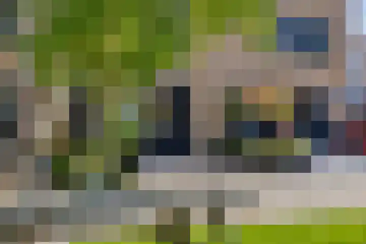 Strodekkerstraat 49 Zwolle thumbnail 4