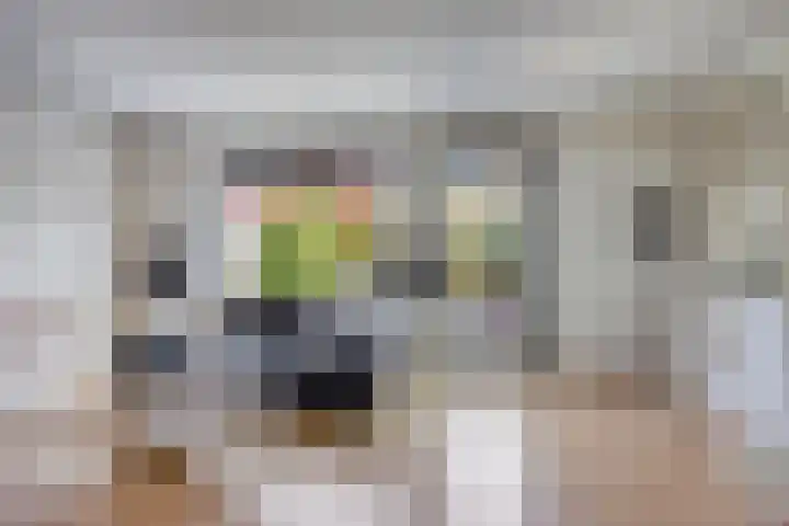 Strodekkerstraat 49 Zwolle thumbnail 8