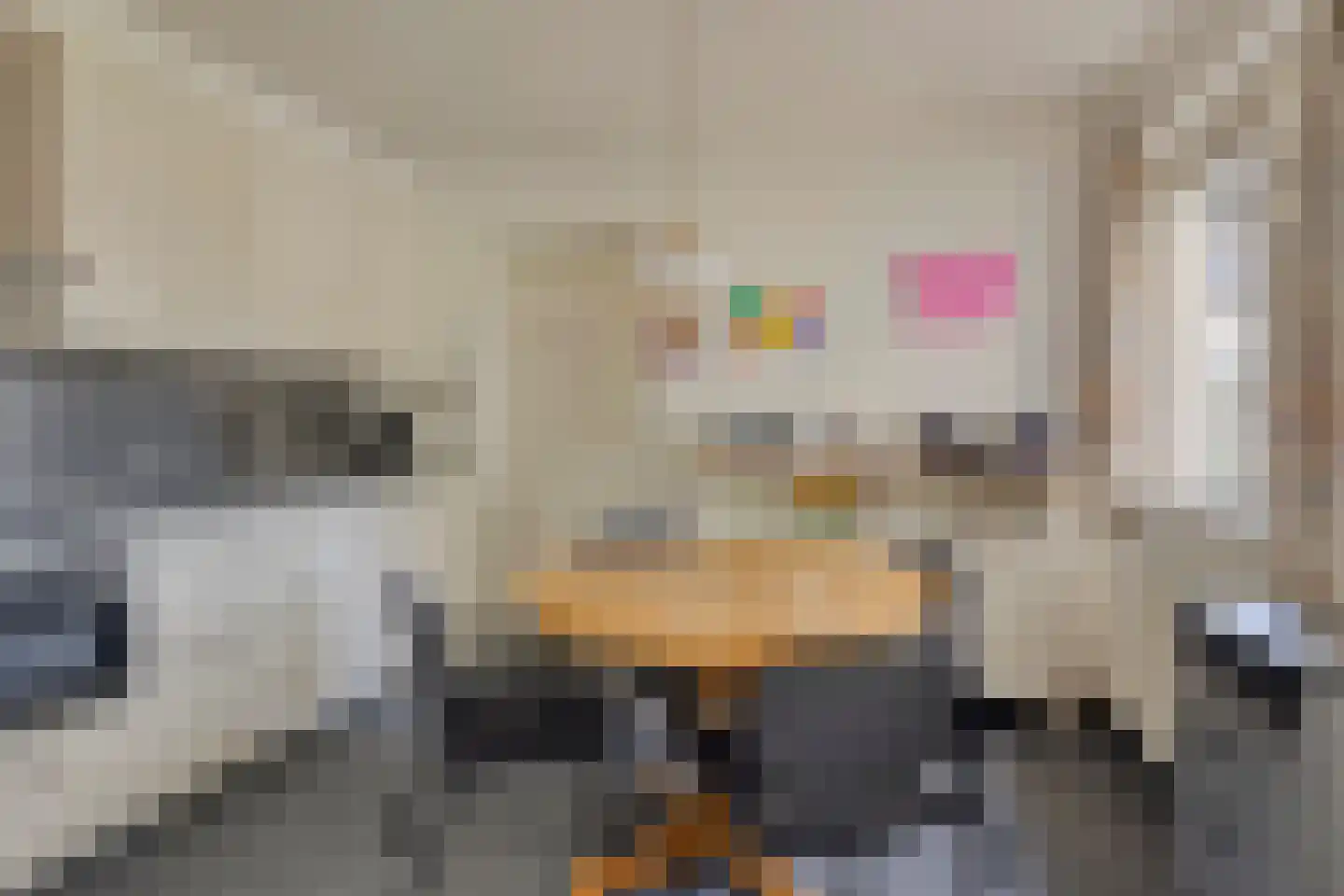 Strodijk 1 Vorden thumbnail 12
